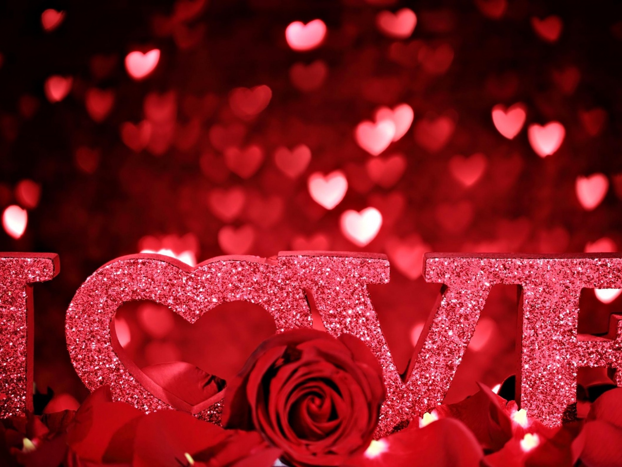 valentines-day-love-inscription-rose-petals-romance-hearts-glitter